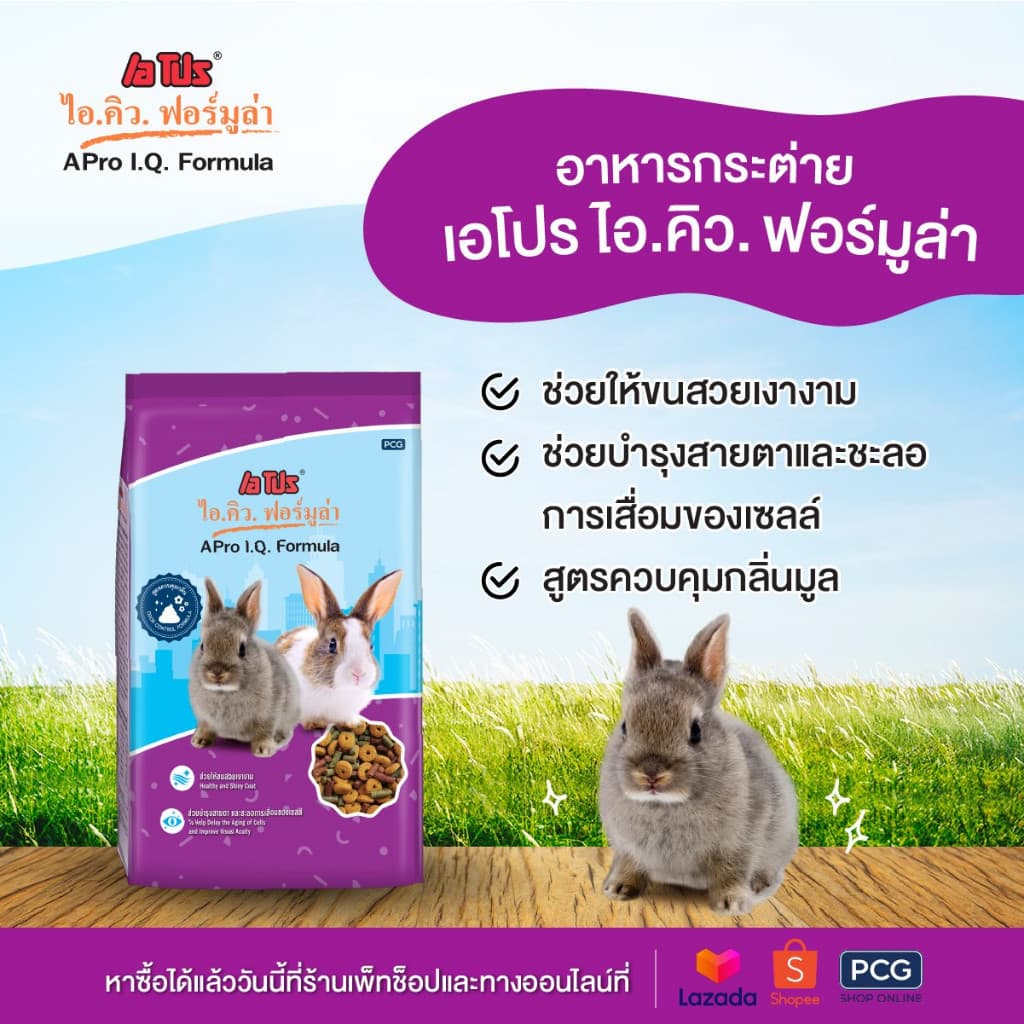 3 ถุง อาหารกระต่าย Pro I.Q. Formula Rabbit Food สีม่วง สูตรควบคุมกลิ่น 1 Kg. รูปที่ 2
