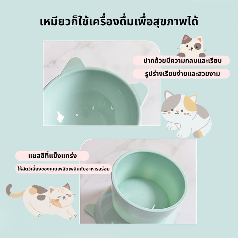 ชามอาหารสัตว์เลี้ยง ชามกันมด แมว ชามอาหารแมว ชามอาหารหมา ทรงเอียง 15 องศา ป้องกันกระดูกสันหลังคอ รูปที่ 4