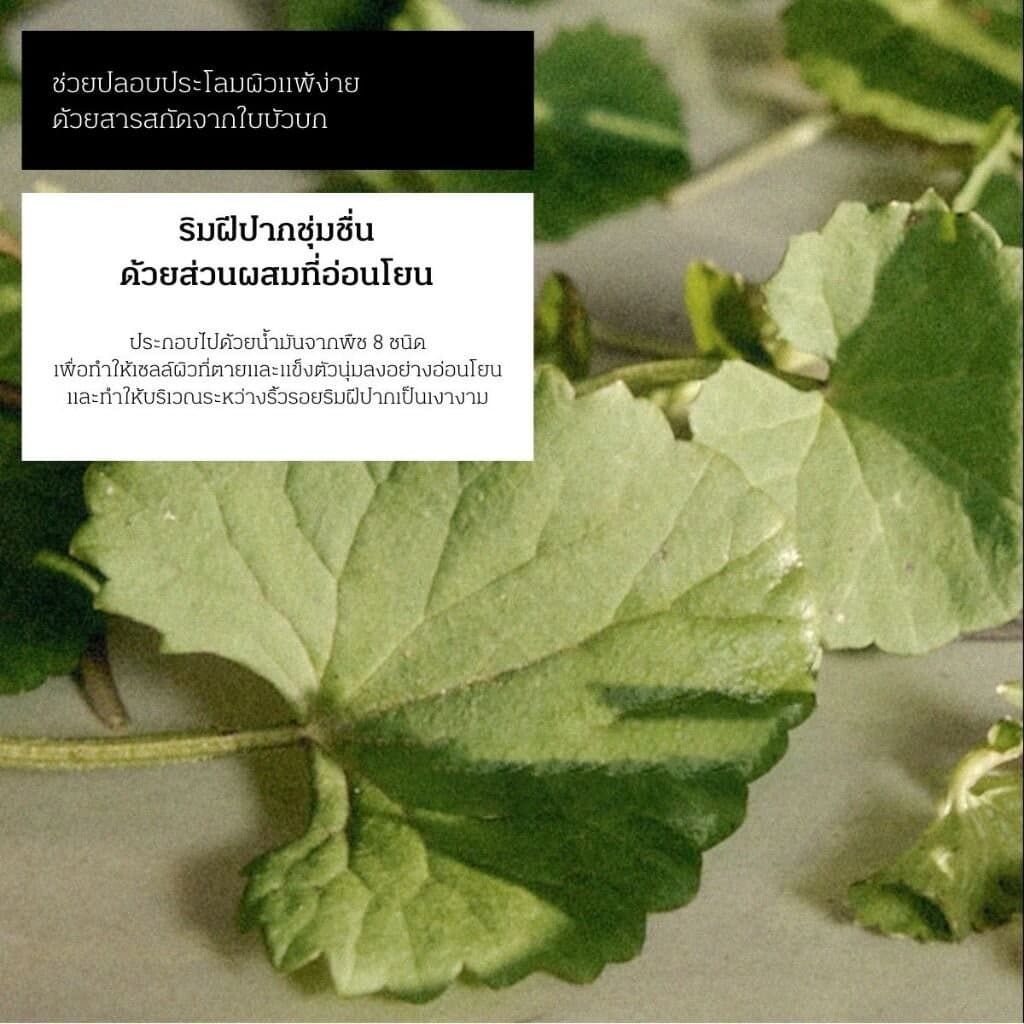 hetras ลิปเอสเซ้นส์ ขนาด 2ชิ้น 13มล ลิปออยด์ ลิปกลอส บำรุงริมฝีปาก Mango Seed Butter Lip Essence รูปที่ 7