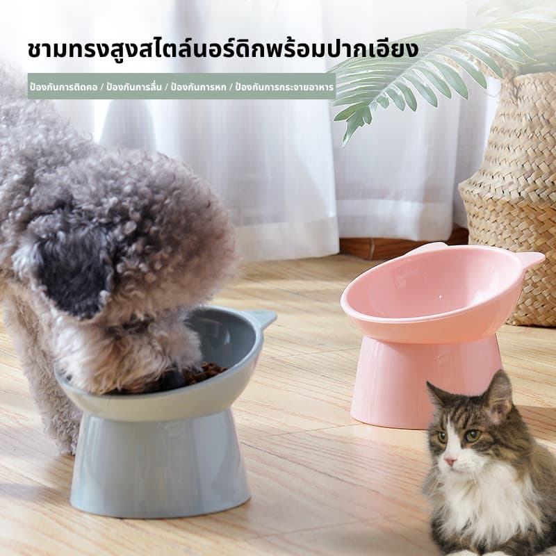 ชามอาหารสัตว์เลี้ยง ชามกันมด แมว ชามอาหารแมว ชามอาหารหมา ทรงเอียง 15 องศา ป้องกันกระดูกสันหลังคอ รูปที่ 5