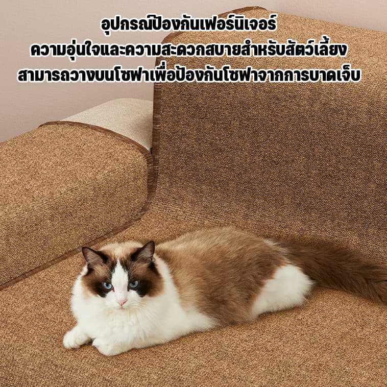 แผ่นขูดแมว เสื่อพรมเลียนแบบป่านศรนารายณ์ การเจียรกรงเล็บสัตว์เลี้ยงทําความสะอาดง่ายใช้งานได้หลายวิธี รูปที่ 7