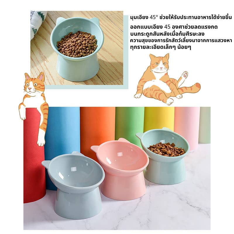 ชามอาหารสัตว์เลี้ยง ชามกันมด แมว ชามอาหารแมว ชามอาหารหมา ทรงเอียง 15 องศา ป้องกันกระดูกสันหลังคอ รูปที่ 7