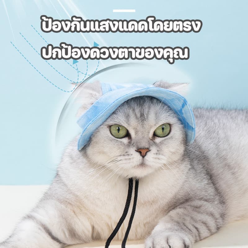 หมวกสัตว์เลี้ยง หมวกบักเกิลกันแดด ป้องกันแสงแดดในฤดูร้อน หมวกผ้าแคนวาส รูปที่ 7