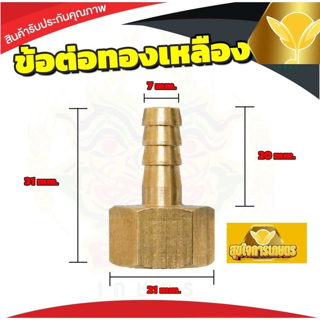 ข้อต่อหางปลา ข้อต่อใส่ปั้มคู่ แบบสวม ใส่ปั้มเดี่ยว ข้อต่อทองเหลือง เกลียวลดขนาด ใส่กับมอเตอร์ปั้มคู่ รูปที่ 4