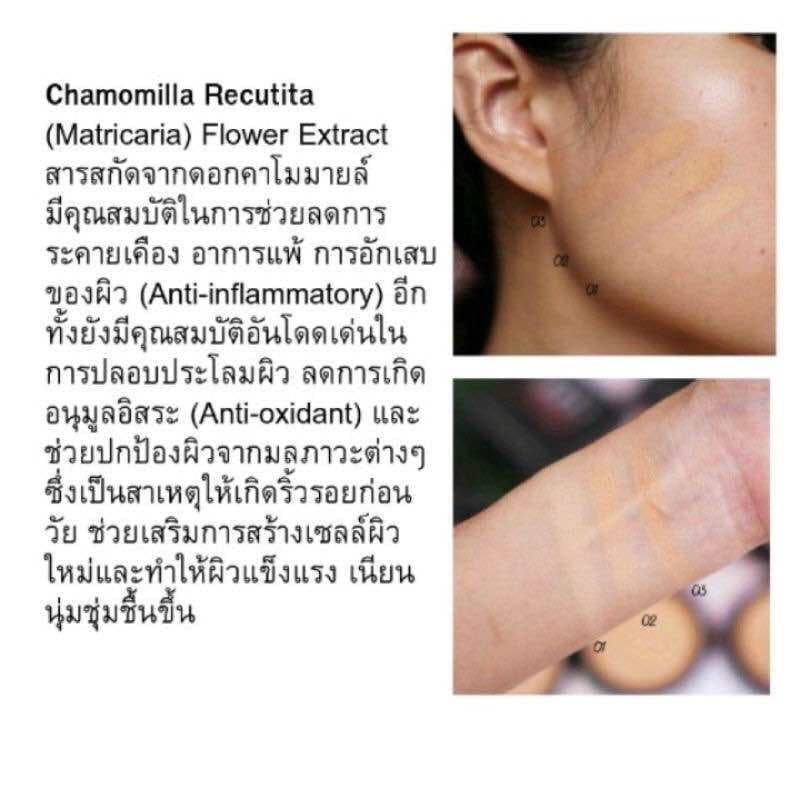 BSC ARTY PROFESSIONAL SUPER PERFECT POWDER SPF 25 PA++ แป้งอาร์ทตี้ โปรเฟสชั่นแนล เนื้อเนียน ละเอียด 11g. A-0194 รูปที่ 4