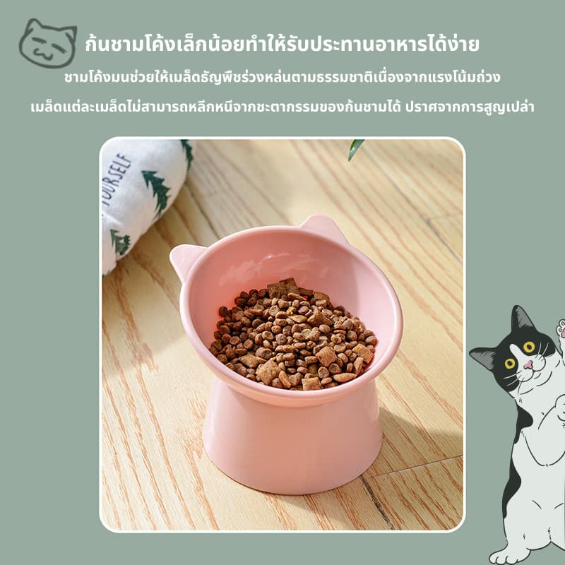 ชามอาหารสัตว์เลี้ยง ชามกันมด แมว ชามอาหารแมว ชามอาหารหมา ทรงเอียง 15 องศา ป้องกันกระดูกสันหลังคอ รูปที่ 6