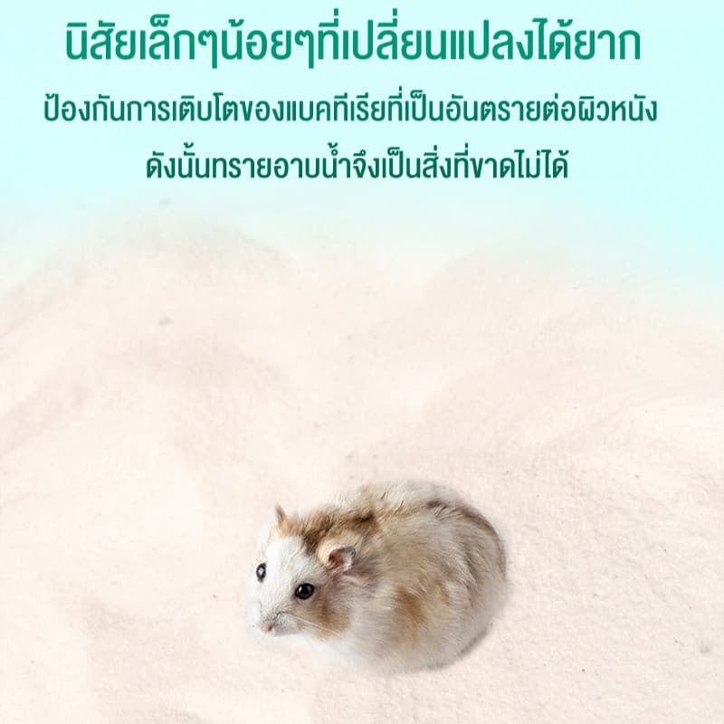 1KG ทรายอาบน้ำ สำหรับแฮมเตอร์ เม็ดทรายละเอียด ทำความสะอาดล้ำลึก ขจัดกลิ่น รูปที่ 7