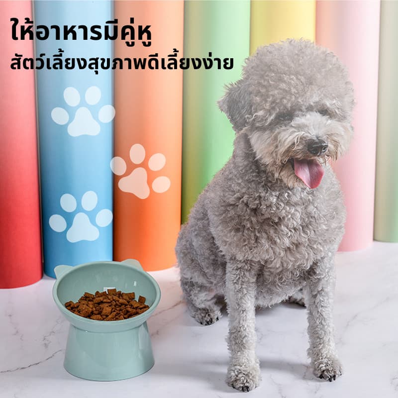 ชามอาหารสัตว์เลี้ยง ชามกันมด แมว ชามอาหารแมว ชามอาหารหมา ทรงเอียง 15 องศา ป้องกันกระดูกสันหลังคอ รูปที่ 8