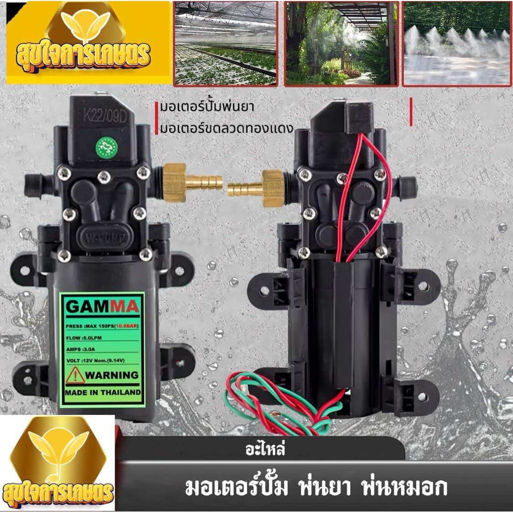 ข้อต่อหางปลา ข้อต่อใส่ปั้มคู่ แบบสวม ใส่ปั้มเดี่ยว ข้อต่อทองเหลือง เกลียวลดขนาด ใส่กับมอเตอร์ปั้มคู่ รูปที่ 2