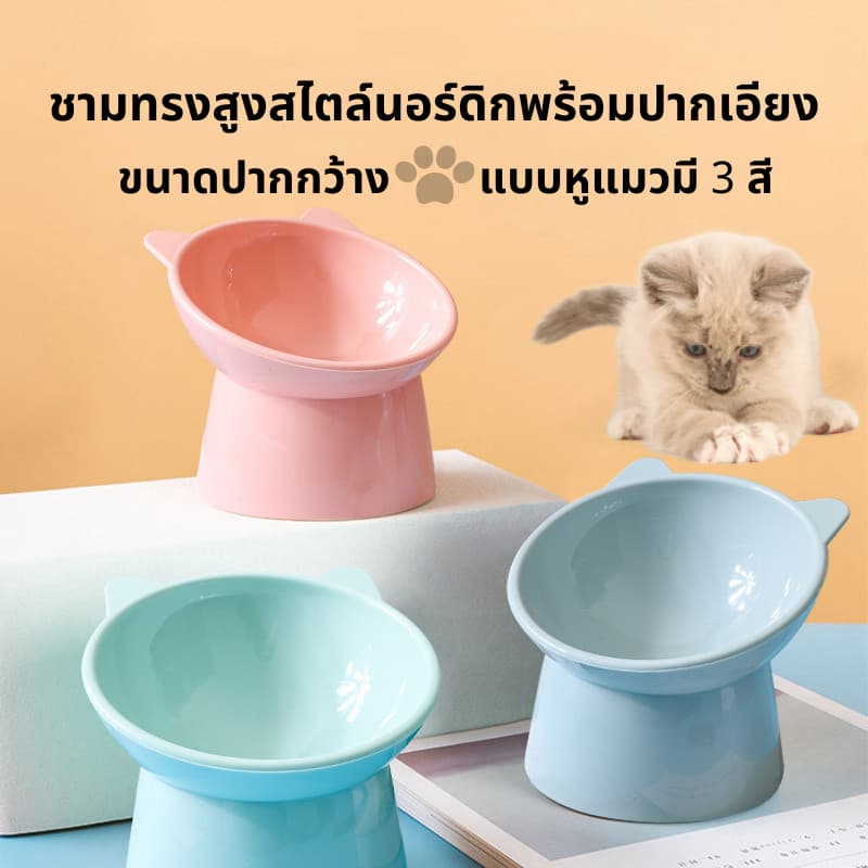ชามอาหารสัตว์เลี้ยง ชามกันมด แมว ชามอาหารแมว ชามอาหารหมา ทรงเอียง 15 องศา ป้องกันกระดูกสันหลังคอ รูปที่ 2