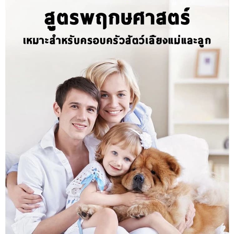 ไม่มีหนูนาน 50 ปี HB กําจัดหนู ไล่หนู ก้อนไล่หนู ยากําจัดหนู ยาไล่หนู สูตรจากพืช เหมาะสำหรับใช้ในบ้าน เจลไล่หนู อาทไล่หนู รูปที่ 2