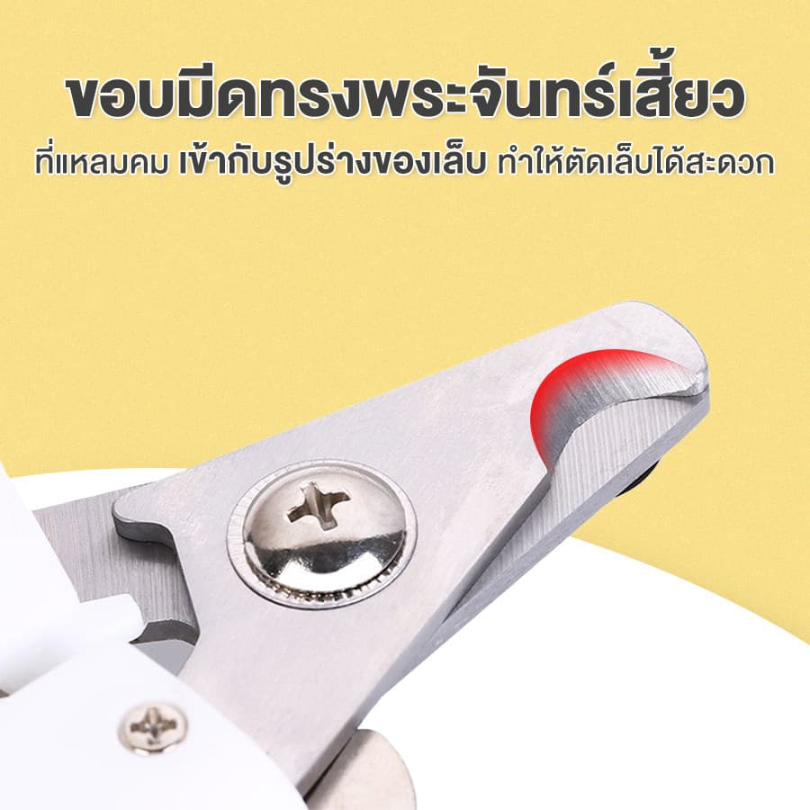 YTL กรรไกรตัดเล็บสุนัข กรรไกรตัดเล็บแมว ขนาดเล็ก ขนาดกลาง ขนาดใหญ่ สุนัขขนาดใหญ่ กรรไกรตัดเล็บสัตว์เลี้ยง เครื่องขัดเล็บ รูปที่ 5