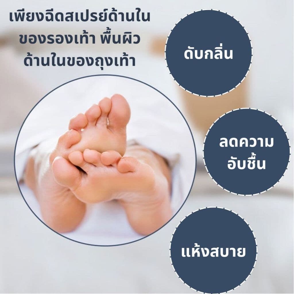 สเปรย์ฉีดรองเท้า 260ML ลดแบคทีเรีย กำจัดเชื้อโรค ระงับกลิ่นเท้า กลิ่นเท้า คันเท้า สเปรย์ดับกลิ่นรองเท้า ขจัดกลิ่นเท้า รูปที่ 7