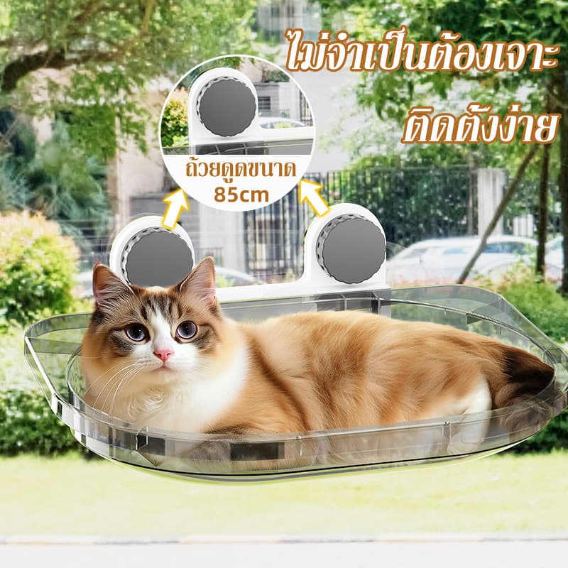 เตียงแขวนแมว เตียงแขวนสัตว์เลี้ยง กับติดผนัง ไม่จำเป็นต้องเจาะ รับน้ำหนักได้ถึง 40kg ถ้วยดูดที่มีประสิทธิภาพ รูปที่ 4