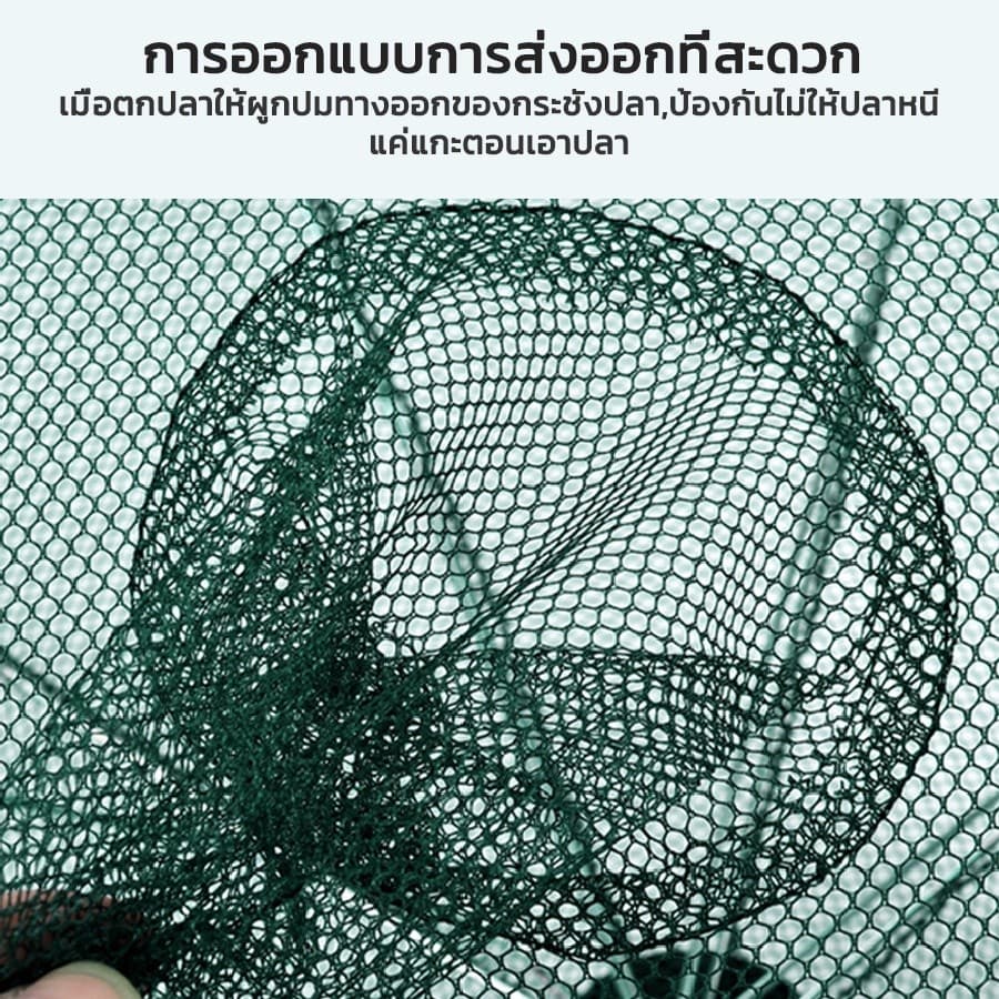 Daywalkers ที่ดักปลา ดักกุ้ง ที่ดักกุ้ง 4 6 8 10 ช่อง มุ้งดักปลา มุ้งดักกุ้ง ที่ดักกุ้งฝอย ตาข่ายดักปลา รูปที่ 6