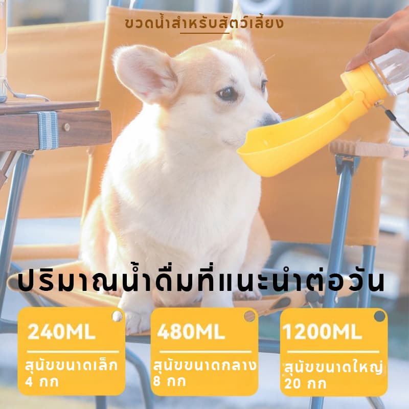 กระบอกน้ำพกพา ขวดน้ำสัตว์เลี้ยง พื้นที่ดื่มกว้าง ป้องกันการรั่วซึม พับได้พร กระบอกน้ำสุนัข รูปที่ 6