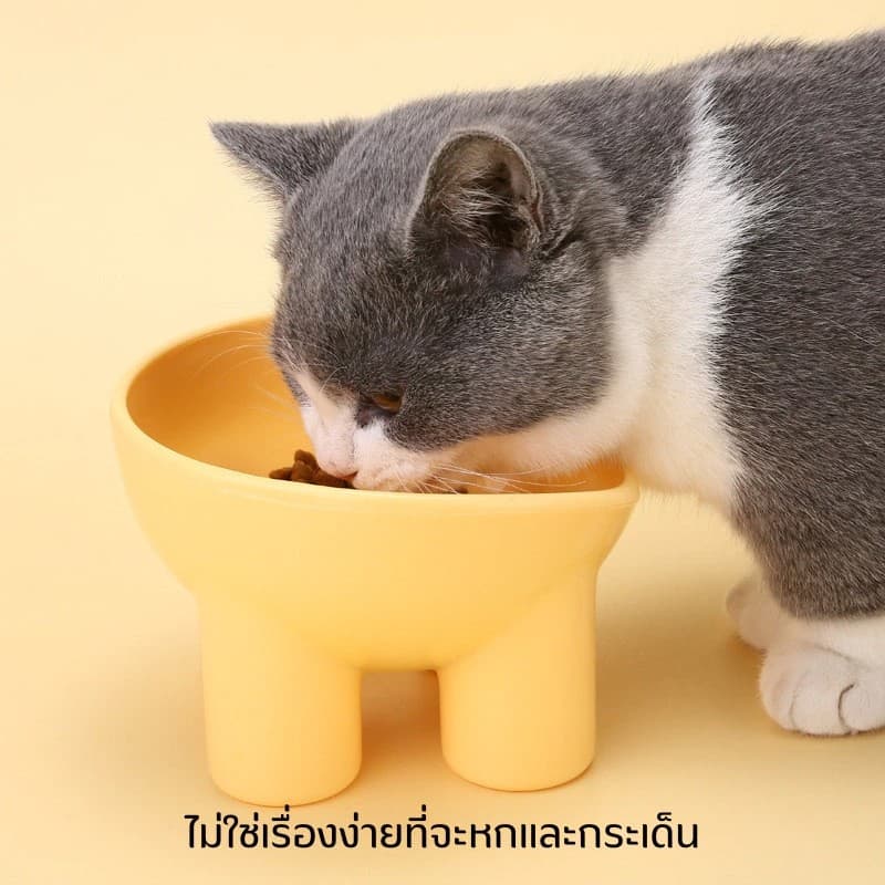 ชามกันมด แมว ชามอาหารแมว ชามอาหารสัตว์เลี้ยง ทรงเฉียง ชามอาหารสุนัข ที่วางอาหารสัตว์เลี้ยง เครื่องให้อาหารสัตว์เลี้ยง รูปที่ 2