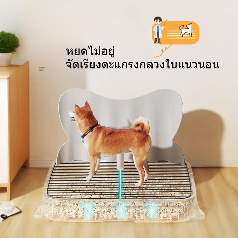 CODห้องน้ําหมา ถาดรองฉี่สุนัข 2 ชั้น เสาให้น้องเล็ง ประเภทลิ้นชัก ถาดรองฉี่ แถมพลั่ว รูปที่ 5