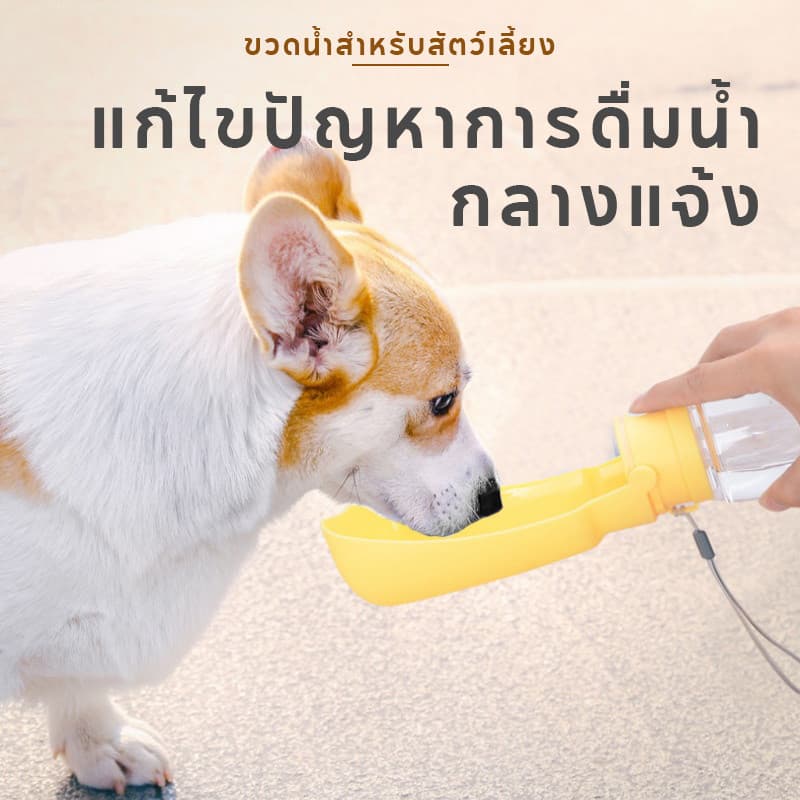 กระบอกน้ำพกพา ขวดน้ำสัตว์เลี้ยง พื้นที่ดื่มกว้าง ป้องกันการรั่วซึม พับได้พร กระบอกน้ำสุนัข รูปที่ 2