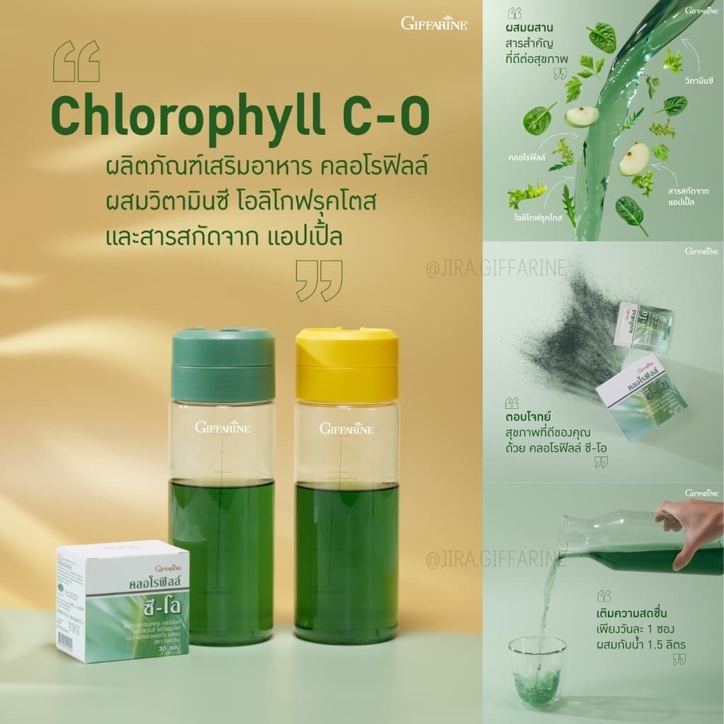 คลอโรฟิลล์ CHLOROPHYLL GIFFARINE รูปที่ 3