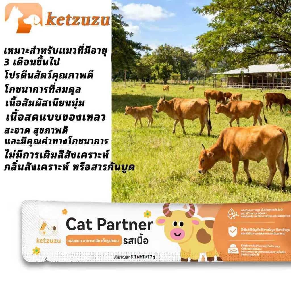 โปรสุดคุ้ม! Ketzuzu ขนมแมวเลีย 17g เซ็ตใหญ่ 50 ซอง รูปที่ 9
