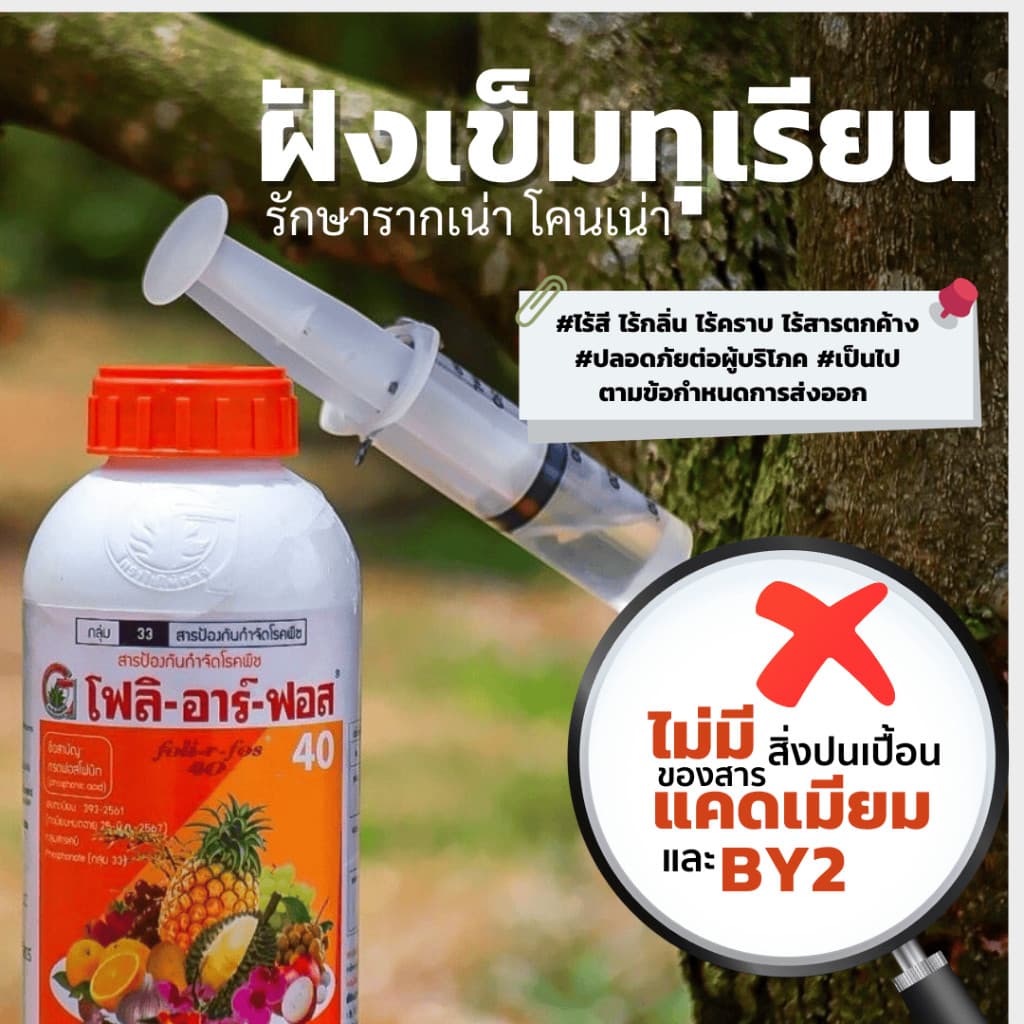 โฟลิอาร์ฟอส 400 1ลิตร ฝังเข็มทุเรียน กรดฟอสโฟนิก สารกำจัดเชื้อรา รากเน่า โคนเน่า โรคพืช รูปที่ 1