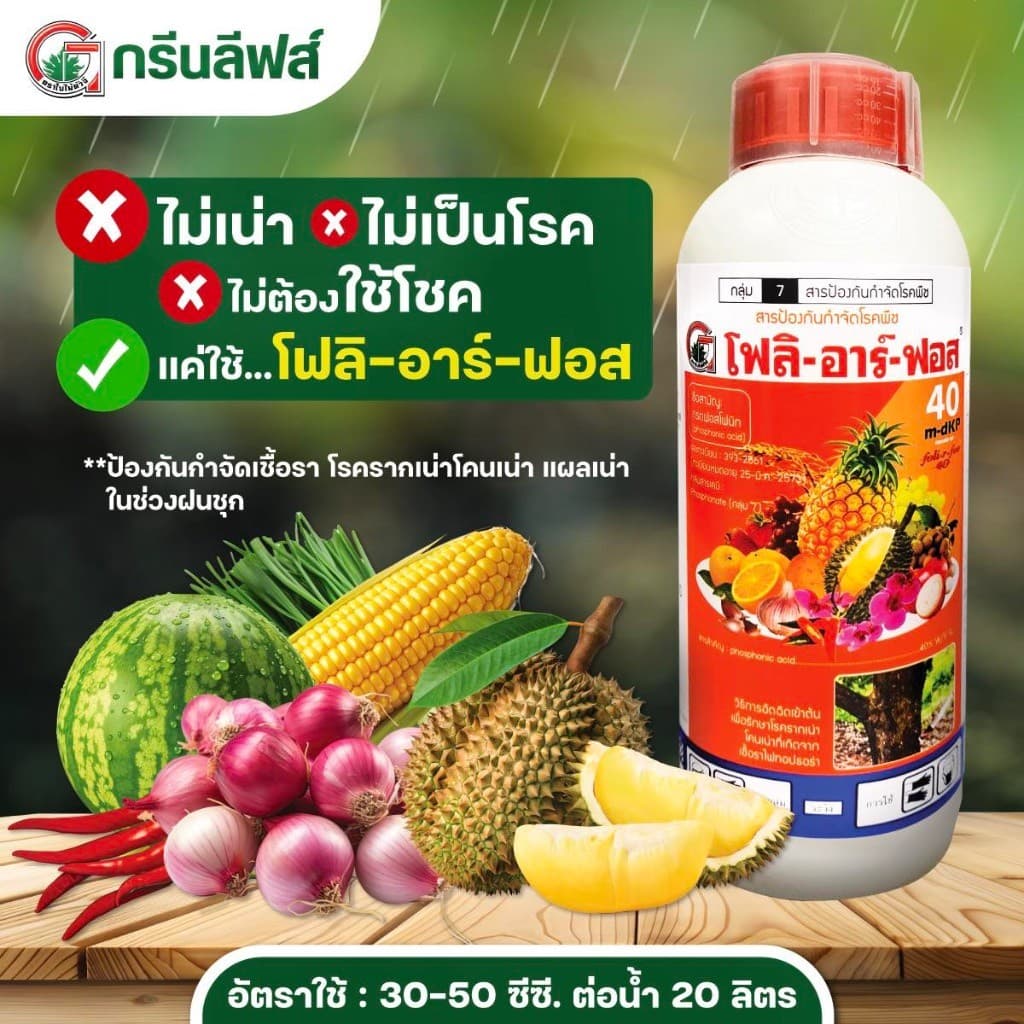 โฟลิอาร์ฟอส 400 1ลิตร ฝังเข็มทุเรียน กรดฟอสโฟนิก สารกำจัดเชื้อรา รากเน่า โคนเน่า โรคพืช รูปที่ 2