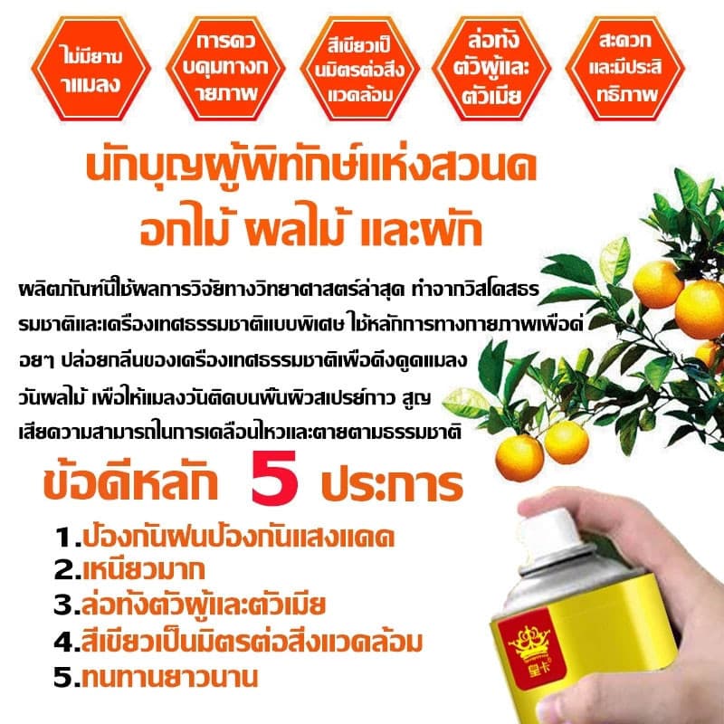 สเปรย์ล่อแมลงวันทอง เมทิลยูจินอล ดึงดูดแมลงวันได้ดี ทนแดดทนฝน ใช้ได้กับพื้นที่กว้าง 450ml รูปที่ 3