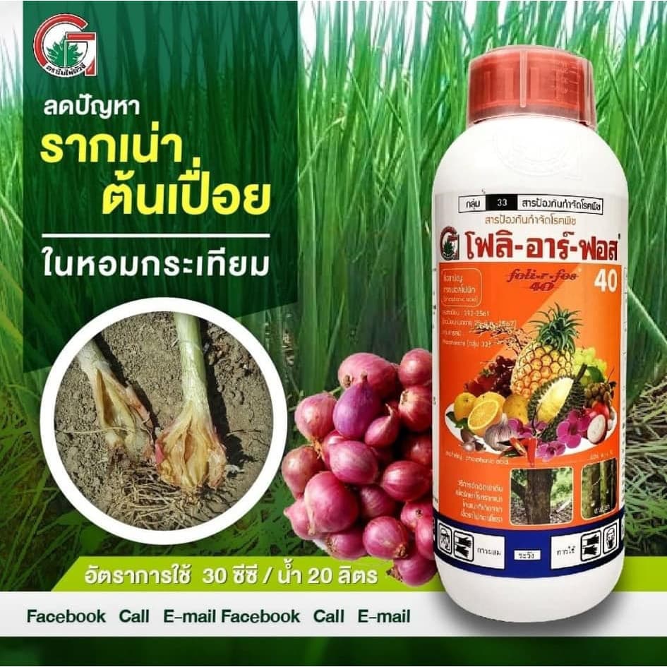 โฟลิอาร์ฟอส 400 1ลิตร ฝังเข็มทุเรียน กรดฟอสโฟนิก สารกำจัดเชื้อรา รากเน่า โคนเน่า โรคพืช รูปที่ 4