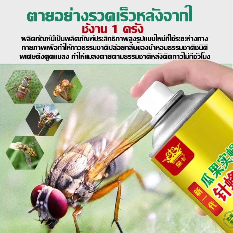 สเปรย์ล่อแมลงวันทอง เมทิลยูจินอล ดึงดูดแมลงวันได้ดี ทนแดดทนฝน ใช้ได้กับพื้นที่กว้าง 450ml รูปที่ 5