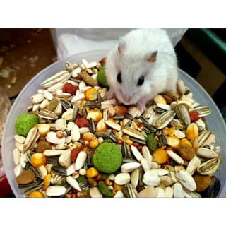 wow อาหารหนูแฮมเตอร์ ธัญพืชรวม ขนาด 500g. จัดส่งทุกวัน รูปที่ 6