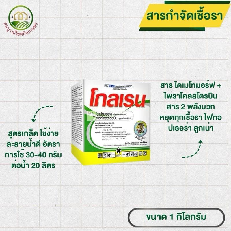 โกลเรน ขนาด 1 กก สาร 2 พลังบวก ป้องกันเชื้อรา หยุดไฟทอปเธอร่า ลูกเน่า ผลเน่าในทุเรียน ใบขีดโปร่งแสง ราน้ำค้างในพืชล้มลุก รูปที่ 1