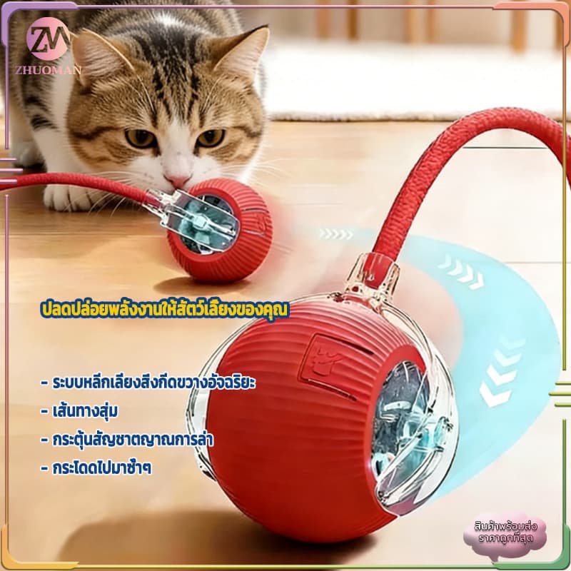 ลูกบอลแมว ลูกบอลมีหาง ลูกบอลสำหรับสัตว์เลี้ยง 360 องศา เรืองแสง แบบโต้ตอบอัตโนมัติรองรับการชาร์จแบบType-C รูปที่ 5