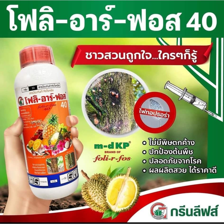 โฟลิอาร์ฟอส 400 1ลิตร ฝังเข็มทุเรียน กรดฟอสโฟนิก สารกำจัดเชื้อรา รากเน่า โคนเน่า โรคพืช รูปที่ 3
