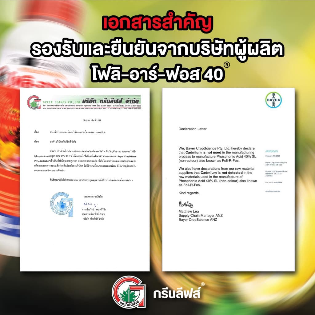 โฟลิอาร์ฟอส 400 1ลิตร ฝังเข็มทุเรียน กรดฟอสโฟนิก สารกำจัดเชื้อรา รากเน่า โคนเน่า โรคพืช รูปที่ 8
