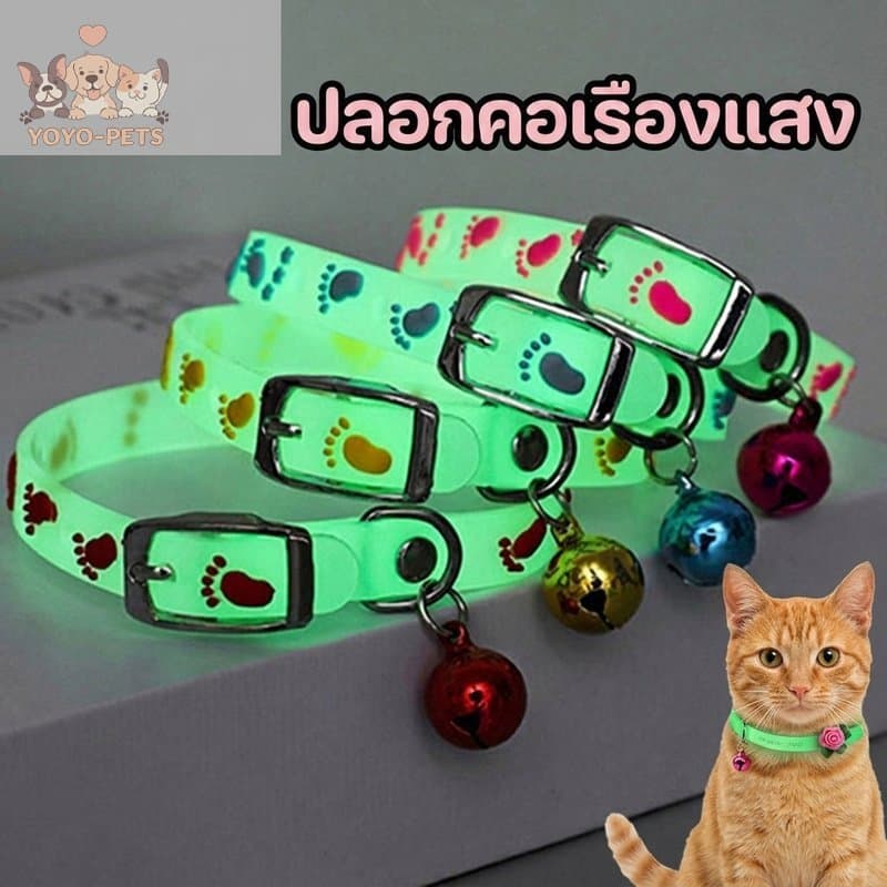 ปลอกคอเรืองแสง สัตว์เลี้ยง ปรับได้ โลหะคุณภาพสูง ติดจี้ละเอียดอ่อน ปลอดภัย ป้องกันสูญหาย รูปที่ 1