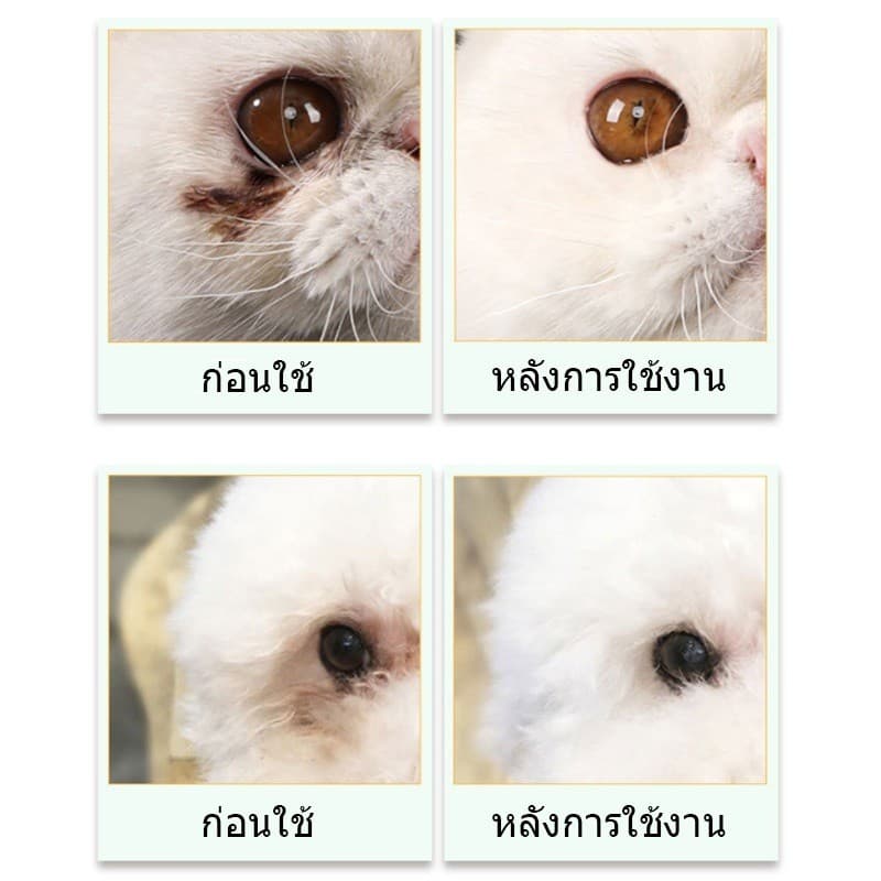 จ้า ผ้าเช็ดตาสัตว์เลี้ยง ผ้าเช็ดทำความสะอาดใบหู ดวงตา ให้ความชุ่มชื้นและละลายคราบน้ำตา รูปที่ 9
