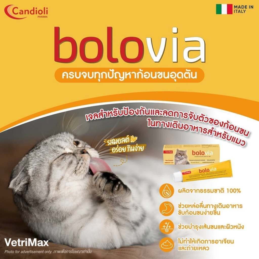 Candioli : BoloVia เจลป้องกันและกำจัดก้อนขน สำหรับแมว จากประเทศอิตาลี 50 g. รูปที่ 2