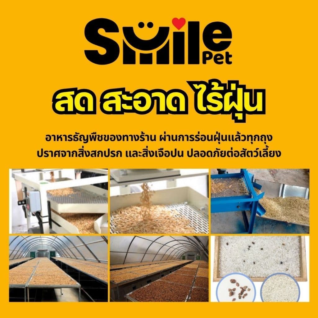 Zupreem M อาหารนกแก้ว ผลไม้อัดเม็ด เม็ดกลม Size M รูปที่ 5