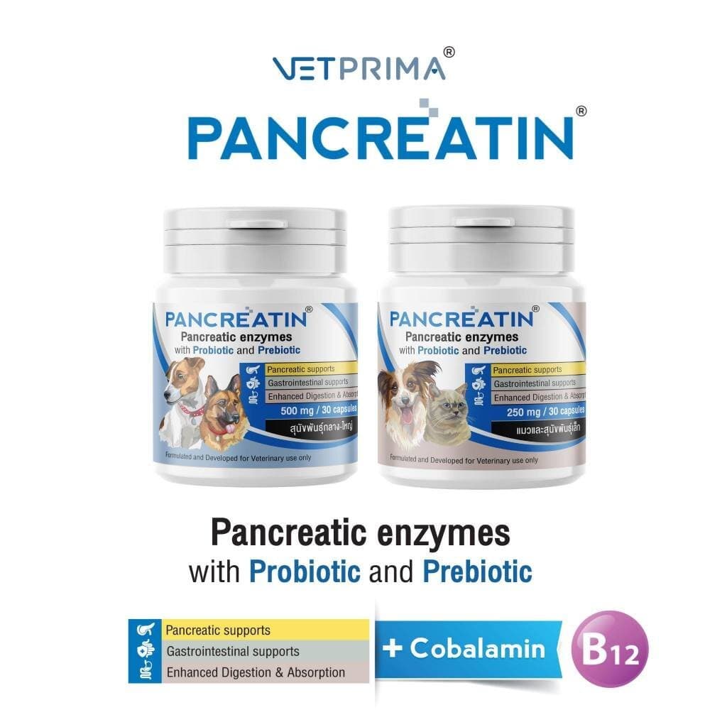 Pancreatin ผลิตภัณฑ์เอ็นไซม์เสริมอาหาร สำหรับสุนัขและแมวที่มีภาวะตับอ่อนอักเสบ 30 แคปซูล รูปที่ 7