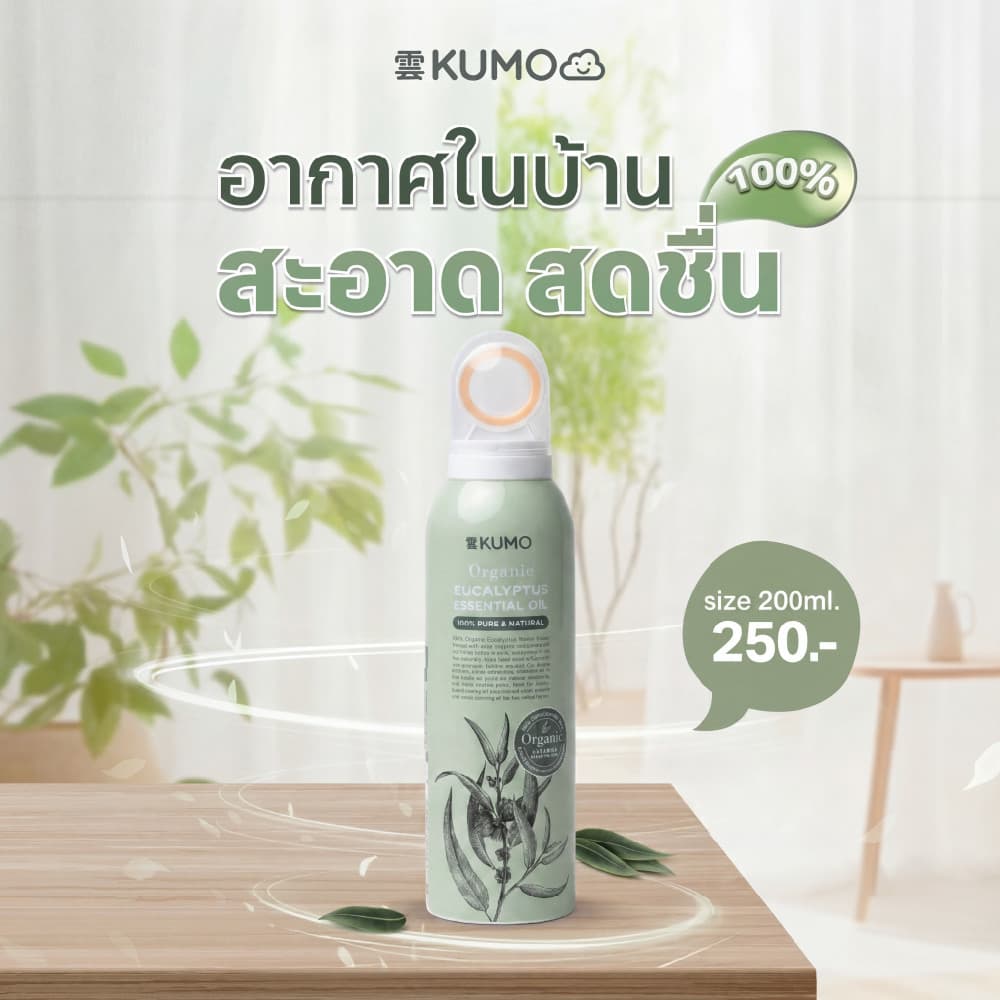 KUMO EUCALYPTUS ROOM SPRAY 200ml. สเปรย์ปรับอากาศ ช่วยไล่ยุ่ง และช่วยให้หลับสบายด้วยกลิ่นยูคาลิปตัส รูปที่ 7