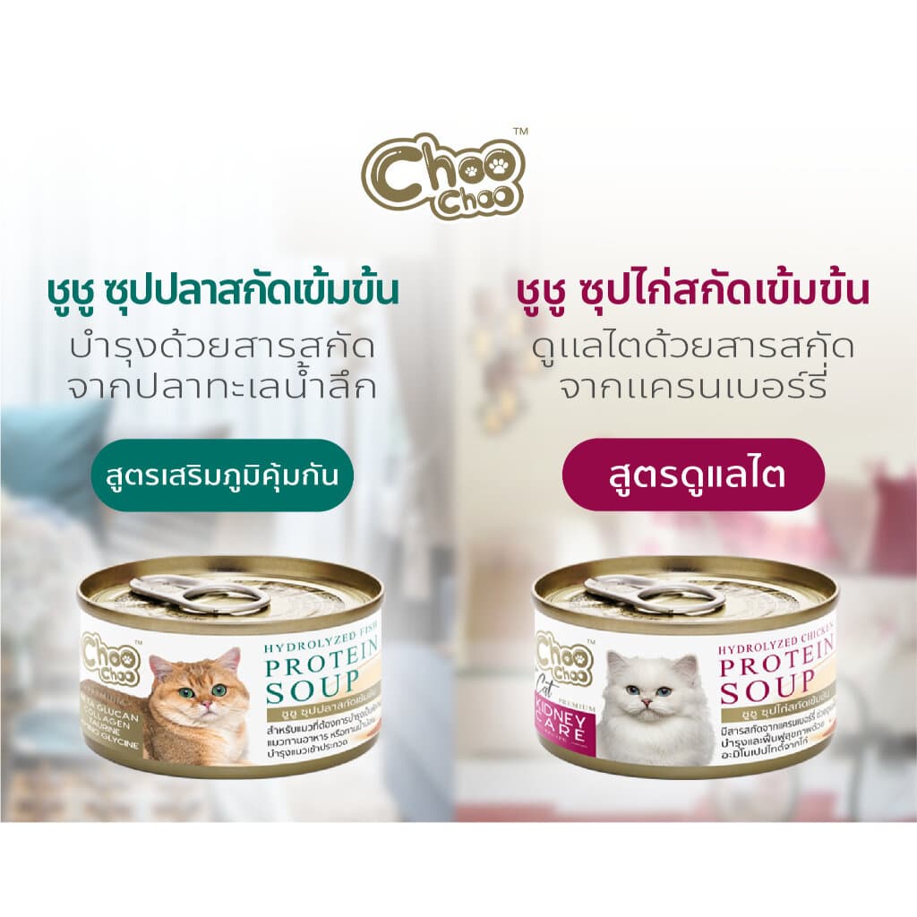 Choo Choo อาหารเสริมบำรุงสุขภาพแมว รูปแบบซุปและสมูทตี้ รูปที่ 5