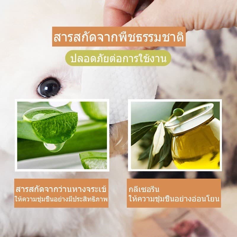 จ้า ผ้าเช็ดตาสัตว์เลี้ยง ผ้าเช็ดทำความสะอาดใบหู ดวงตา ให้ความชุ่มชื้นและละลายคราบน้ำตา รูปที่ 4