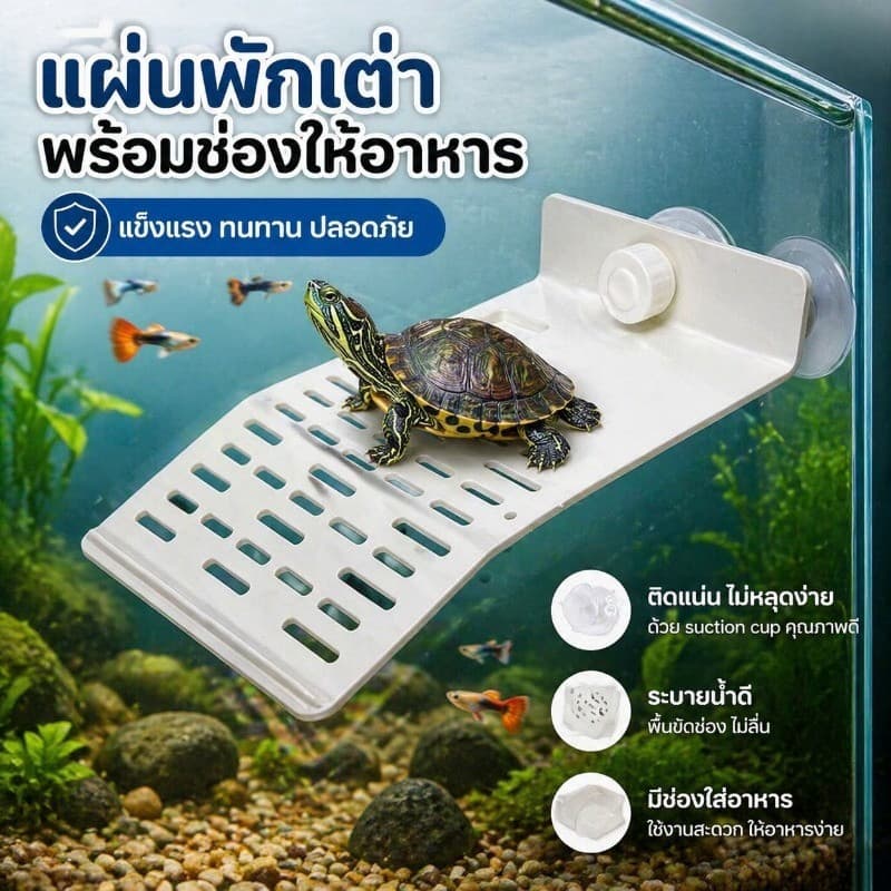 COD ระเบียงเต่า บันไดปีนขึ้นตู้ปลา ตู้เต่า ทางลาดอะคริลิก ถ้วยดูด สำหรับพักน้ำสูง เกาะลอยน้ำลึก แท่นลอยตากหลัง รูปที่ 2