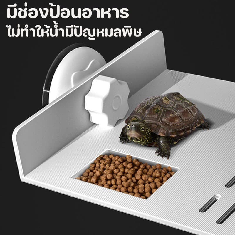 COD ระเบียงเต่า บันไดปีนขึ้นตู้ปลา ตู้เต่า ทางลาดอะคริลิก ถ้วยดูด สำหรับพักน้ำสูง เกาะลอยน้ำลึก แท่นลอยตากหลัง รูปที่ 5