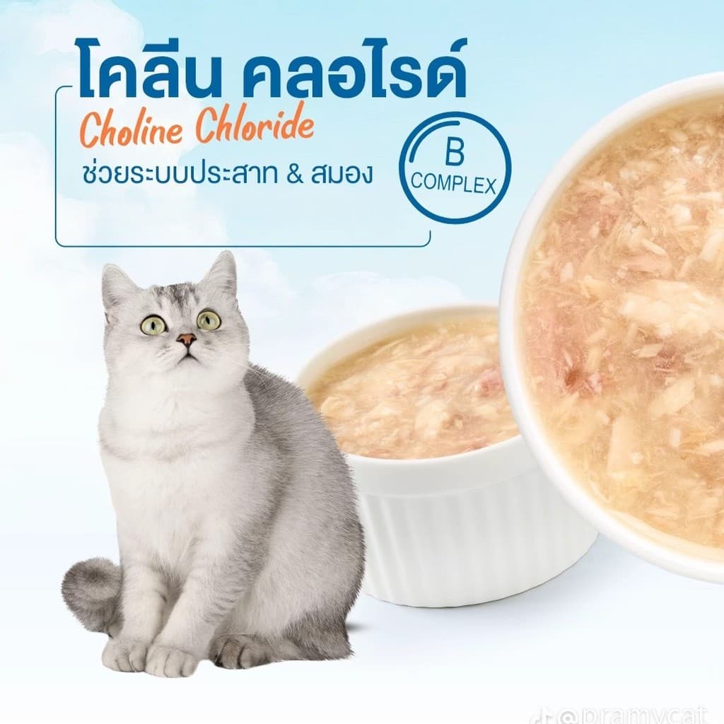 Pramy Complete อาหารเปียกแมวพรามี่ ขนาด 60g รูปที่ 6