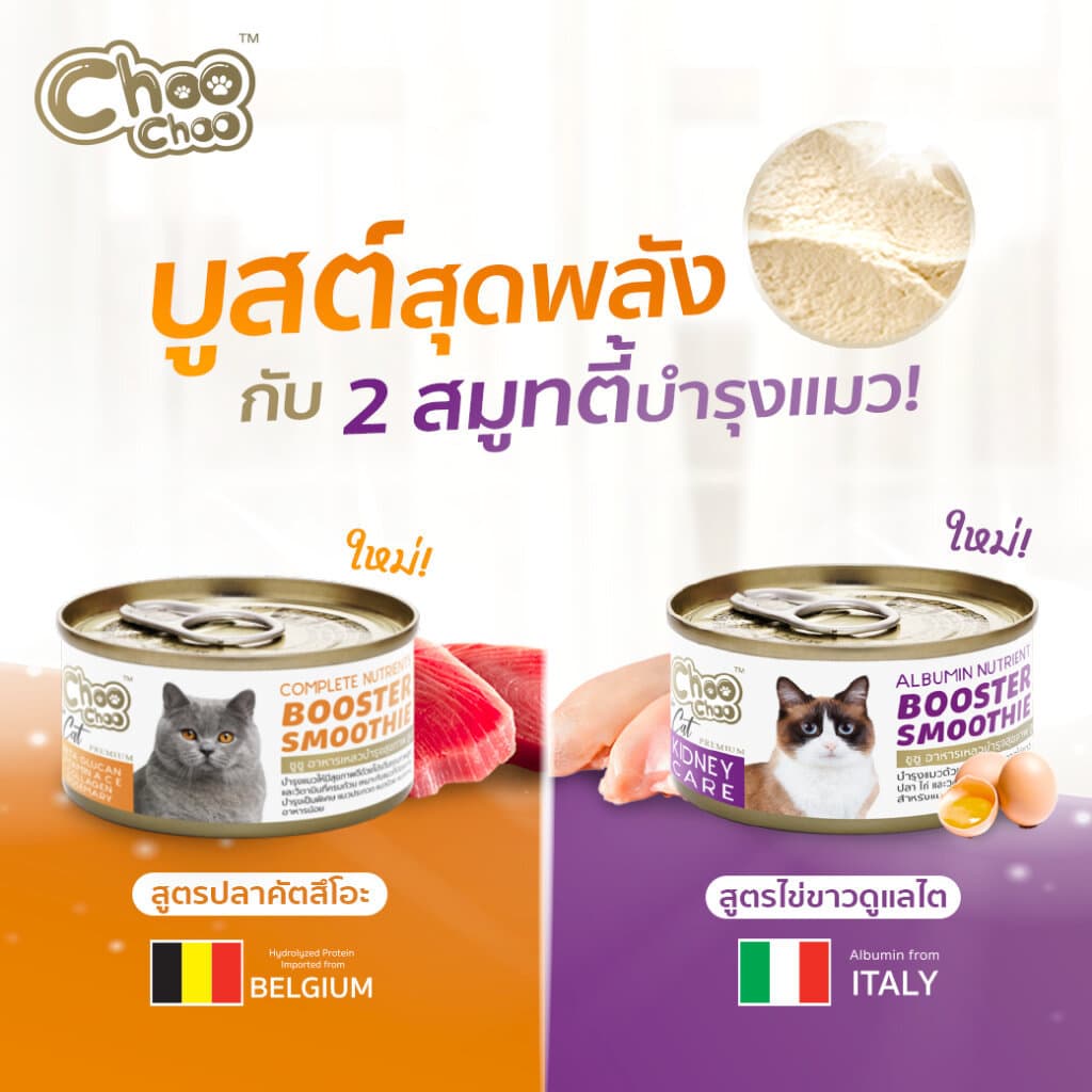 Choo Choo อาหารเสริมบำรุงสุขภาพแมว รูปแบบซุปและสมูทตี้ รูปที่ 6