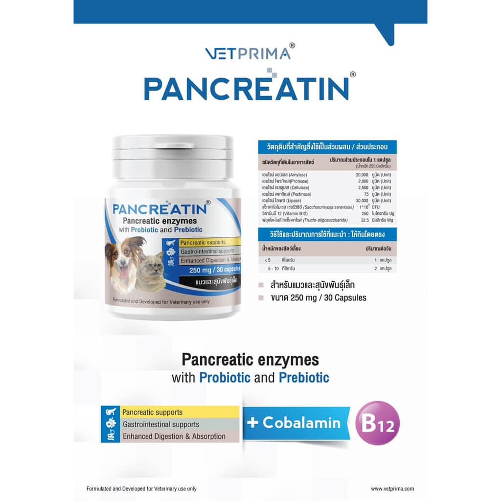 Pancreatin ผลิตภัณฑ์เอ็นไซม์เสริมอาหาร สำหรับสุนัขและแมวที่มีภาวะตับอ่อนอักเสบ 30 แคปซูล รูปที่ 5