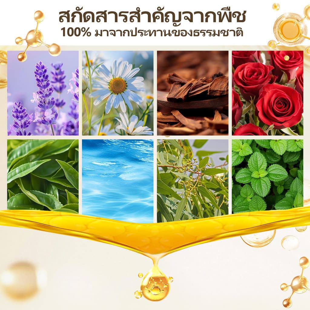 น้ํามันหอมระเหย 10มล กลิ่นหอมธรรมชาติ 100% ช่วยให้นอนหลับและผ่อนคลาย รูปที่ 2