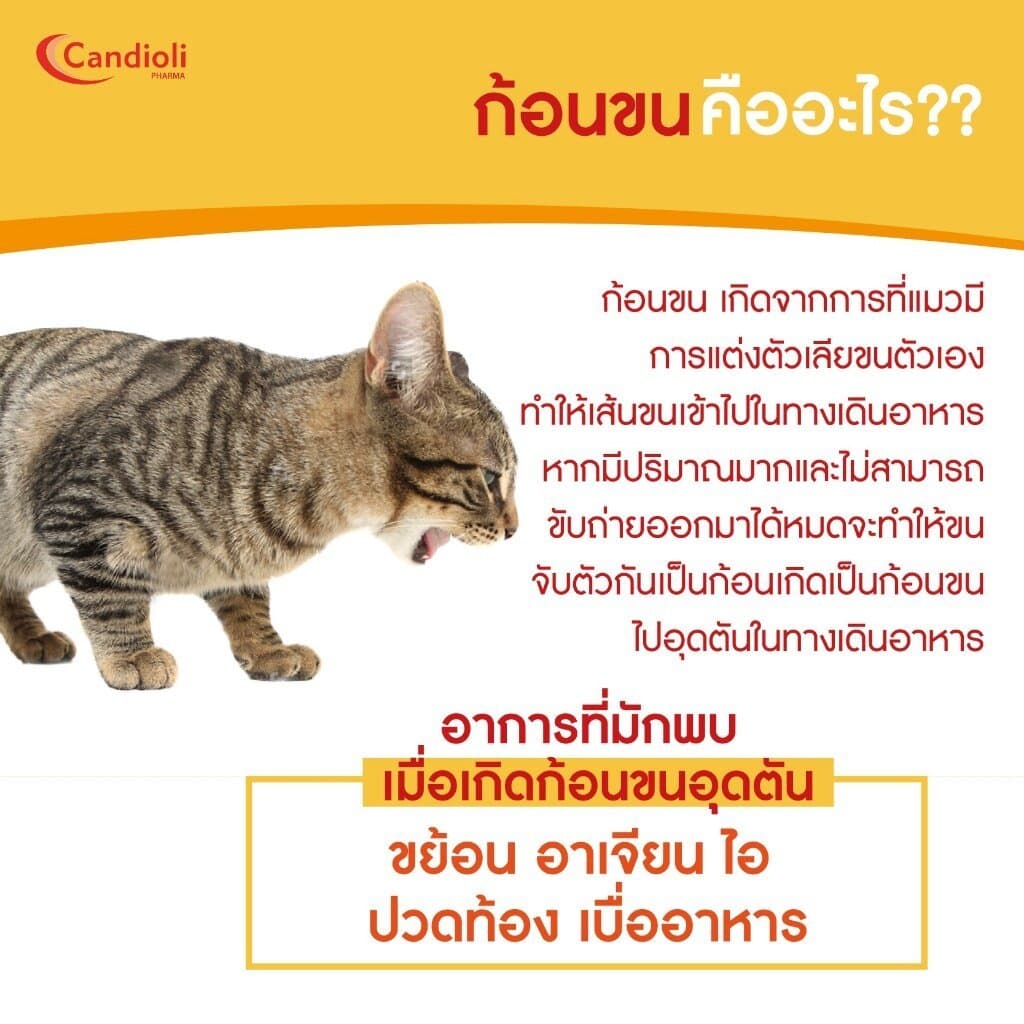 Candioli : BoloVia เจลป้องกันและกำจัดก้อนขน สำหรับแมว จากประเทศอิตาลี 50 g. รูปที่ 6
